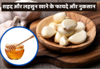 शहद और लहसुन के फायदे और नुकसान - Honey and Garlic Benefits and Side Effects in Hindi