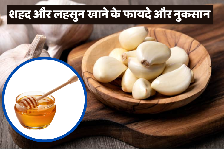 शहद और लहसुन के फायदे और नुकसान Honey and Garlic Benefits in Hindi